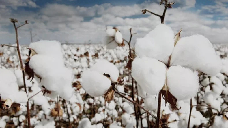 Luxury Cotton Bathrobe